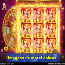 imagens de motel cobras